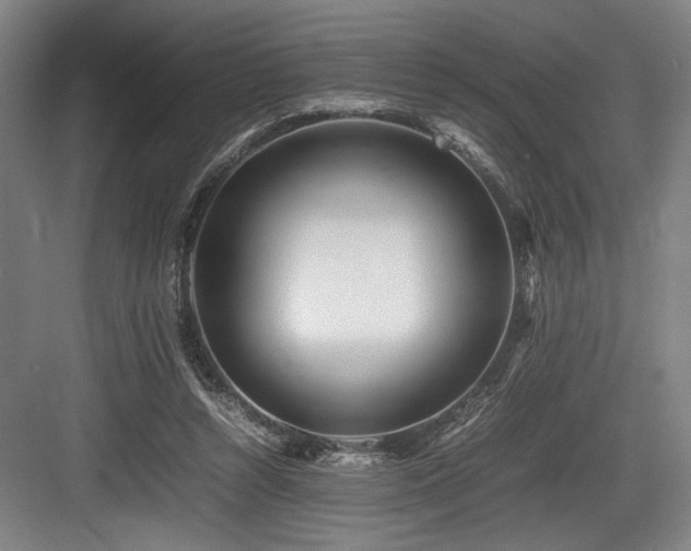 X0000083660352200702121222