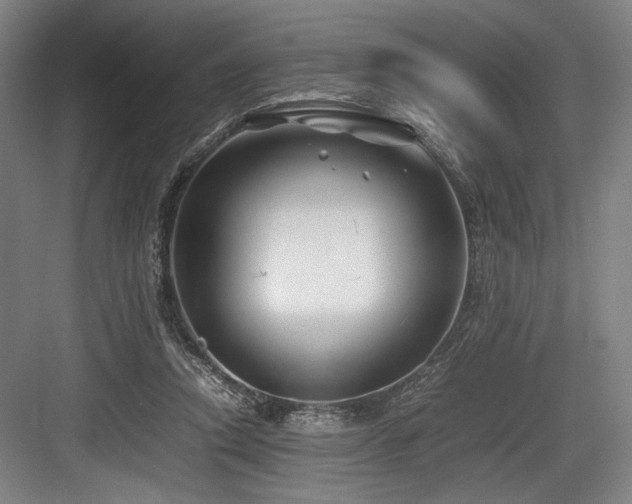 X0000083660354200702121222