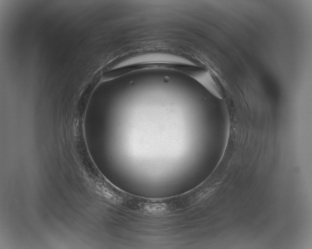 X0000083660355200702121222