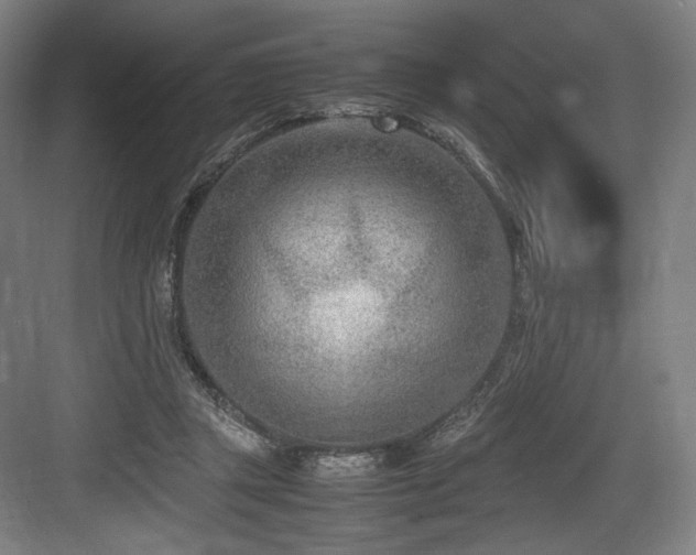 X0000083660357200702121222