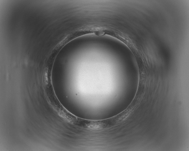 X0000083660358200702121222