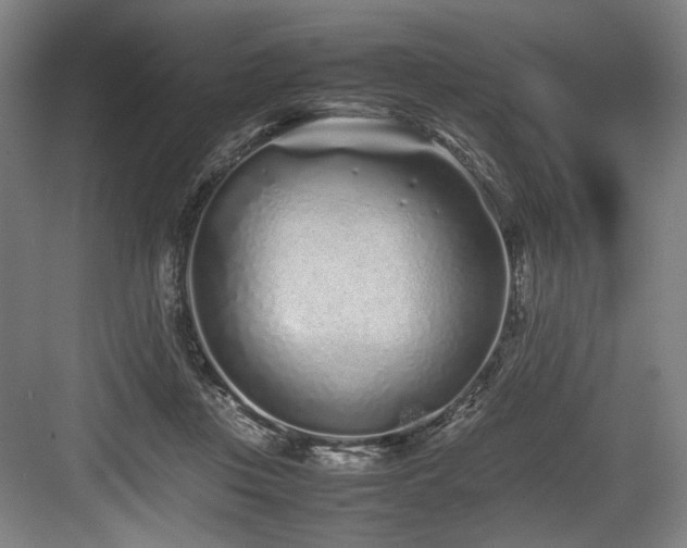 X0000083660359200702121222
