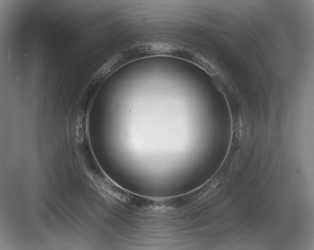 X0000083660360200702121222