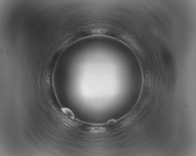 X0000083660363200702121222
