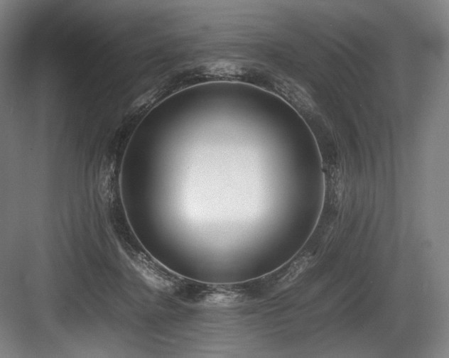 X0000083660364200702121222