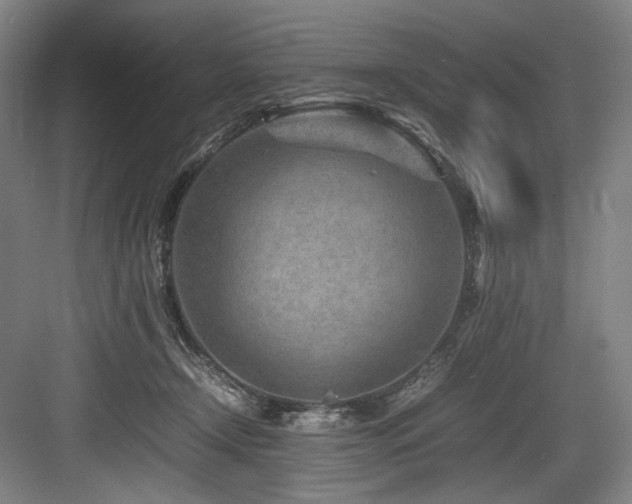 X0000083660366200702121222