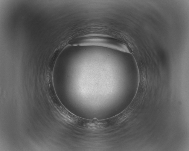 X0000083660367200702121222