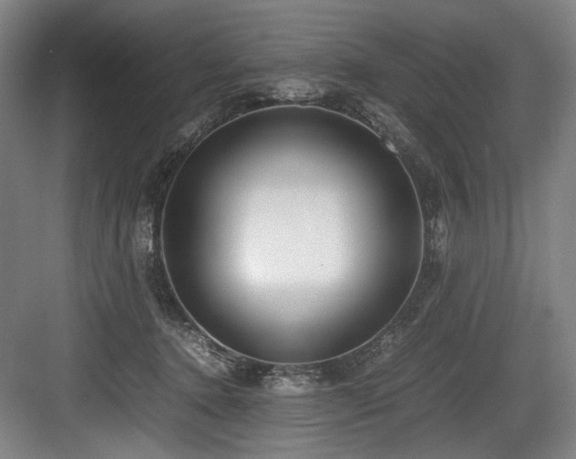 X0000083660368200702121222