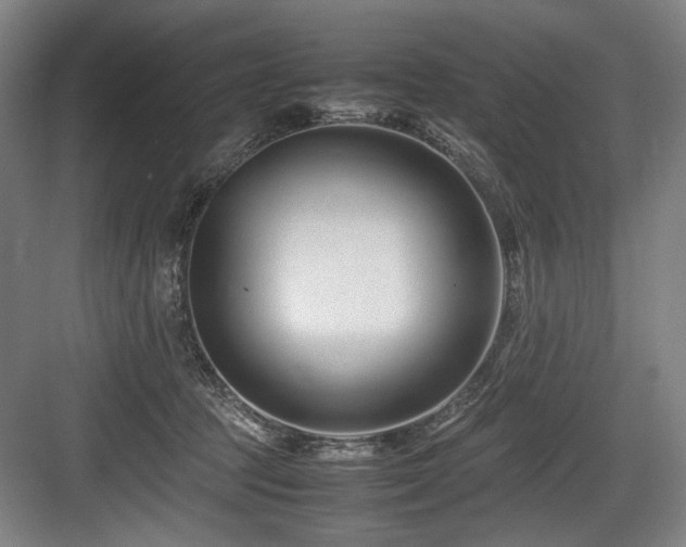 X0000083660369200702121222