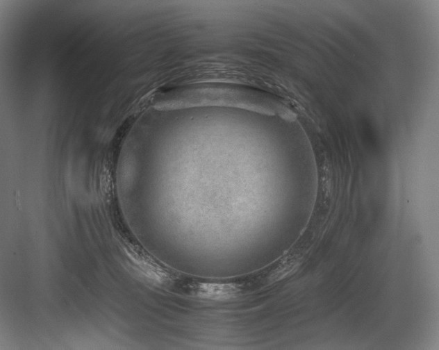 X0000083660371200702121222