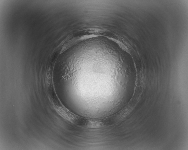 X0000083660376200702121222