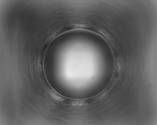 X0000083660377200702121222