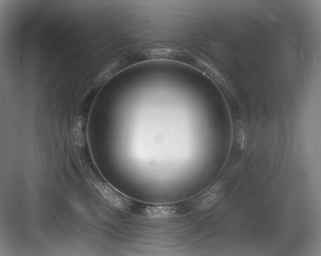 X0000083660378200702121222