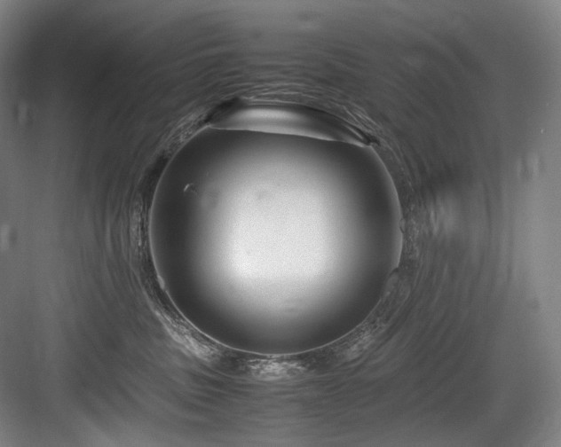 X0000083660379200702121222