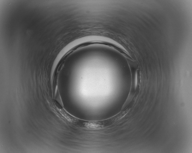 X0000083660380200702121222