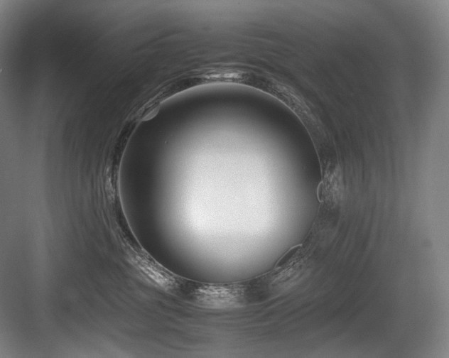 X0000083660381200702121222