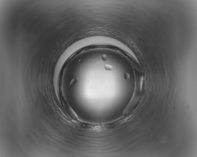 X0000083660382200702121222