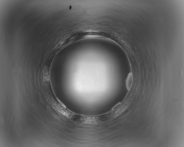 X0000083660384200702121222