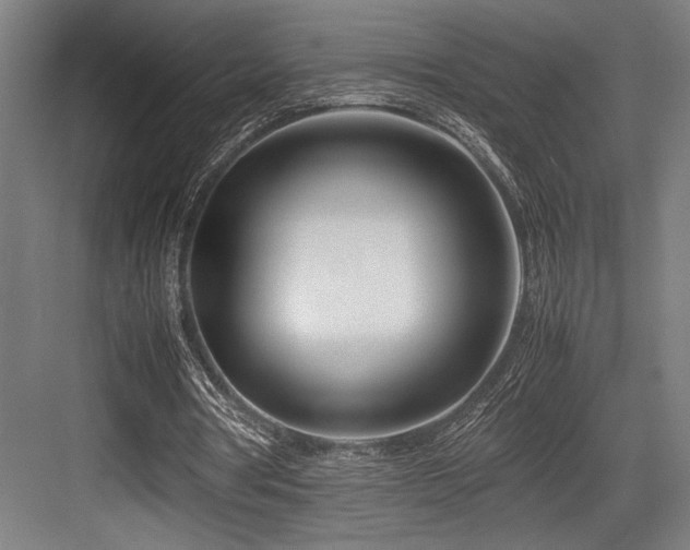 X0000083660386200702121221