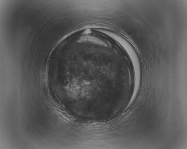 X0000083660387200702121221