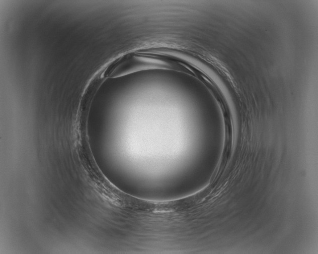 X0000083660388200702121221