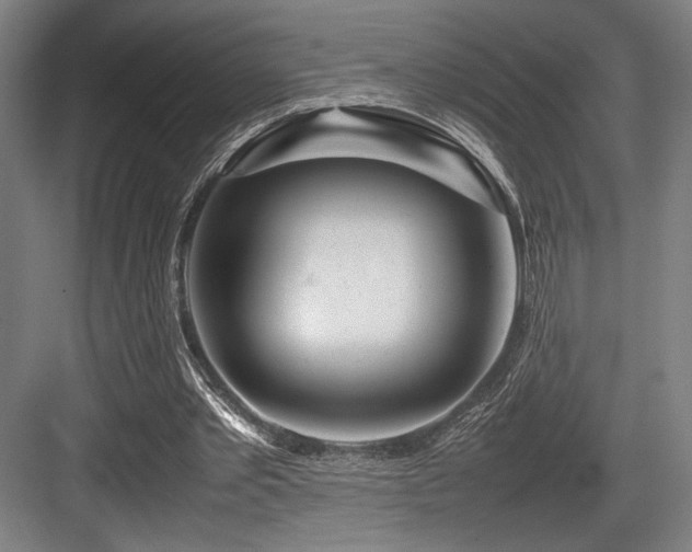 X0000083660389200702121221