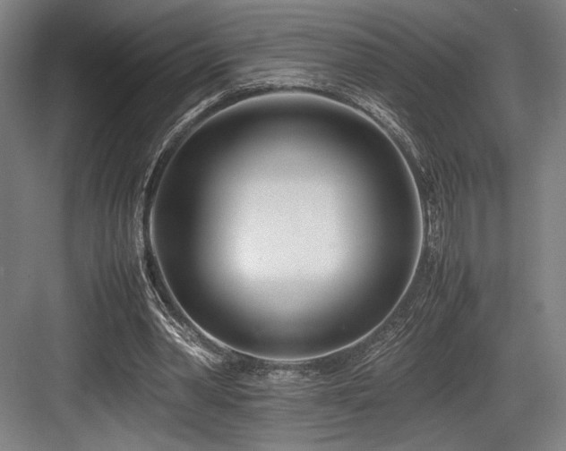 X0000083660390200702121221