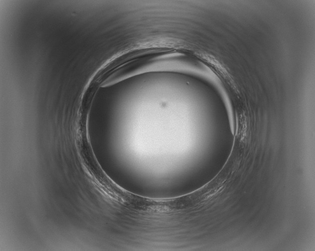 X0000083660392200702121221