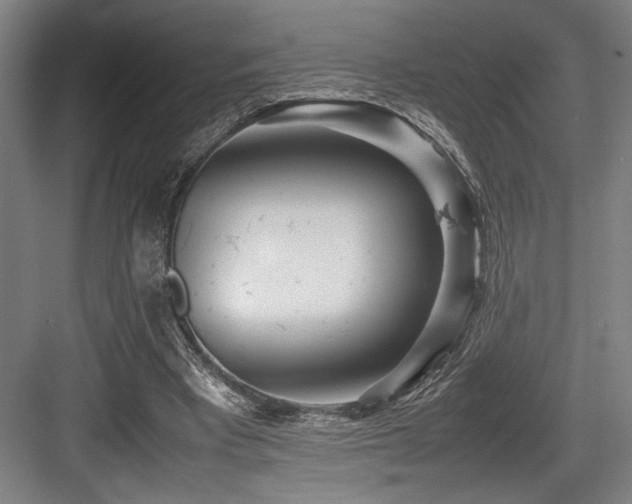 X0000083660393200702121221