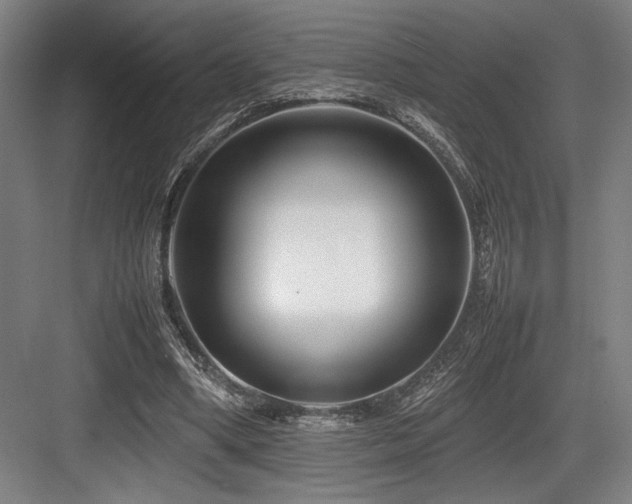 X0000083660394200702121221