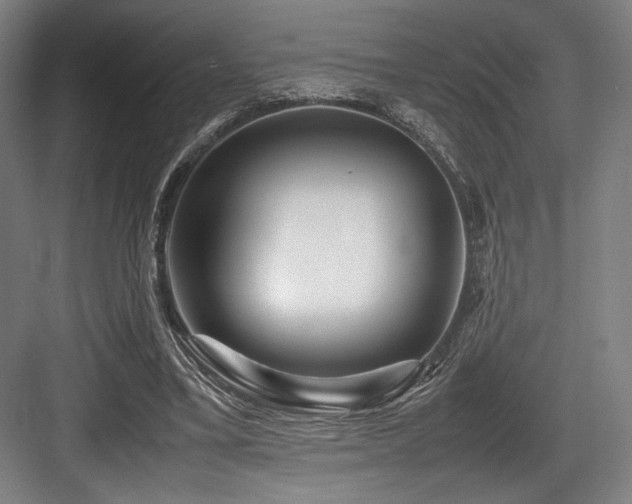 X0000083660395200702121221