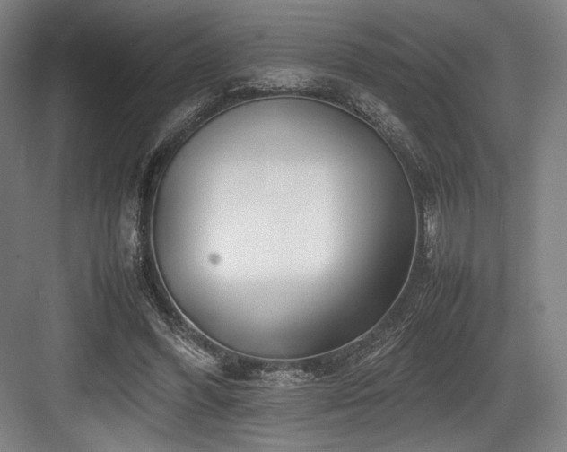 X0000083660396200702121221