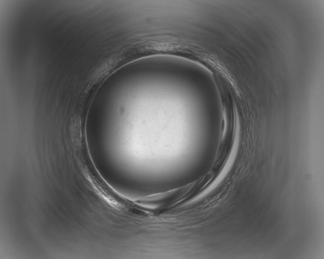 X0000083660397200702121221