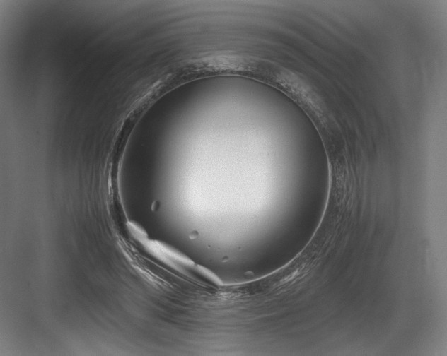 X0000083660398200702121221
