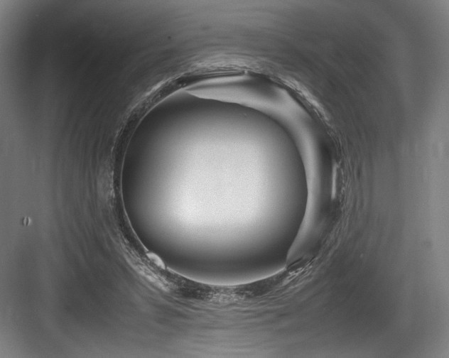 X0000083660399200702121221