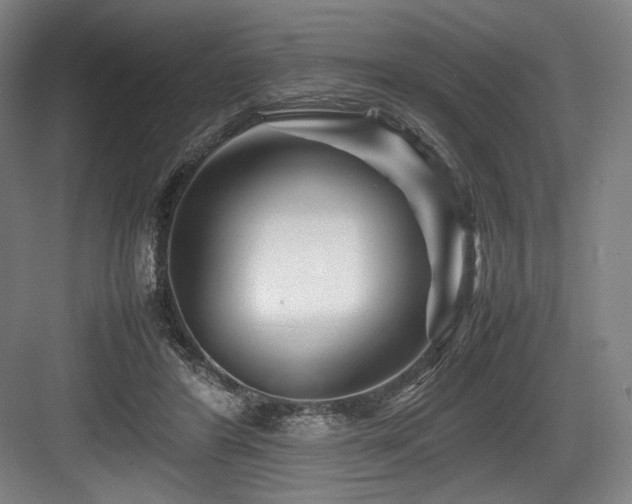 X0000083660404200702121221