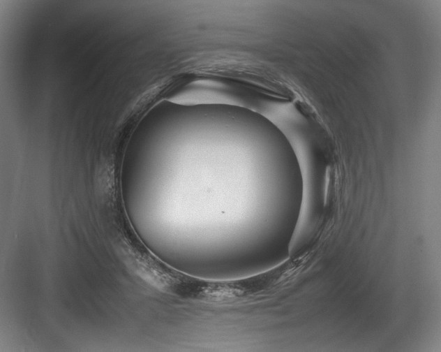X0000083660407200702121221