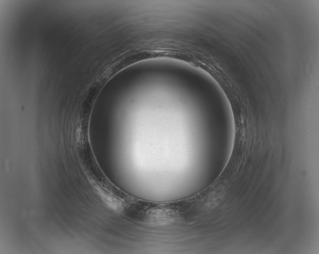 X0000083660408200702121221