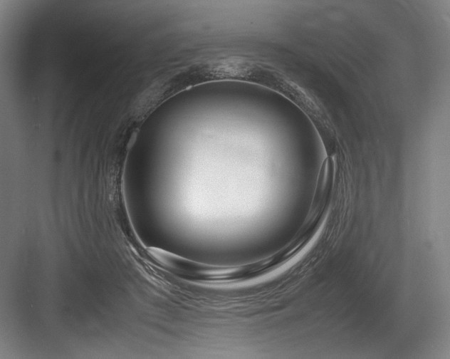 X0000083660409200702121221