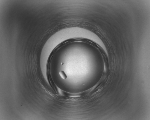 X0000083660412200702121221