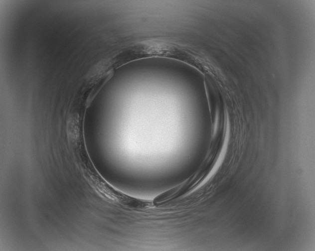 X0000083660413200702121221