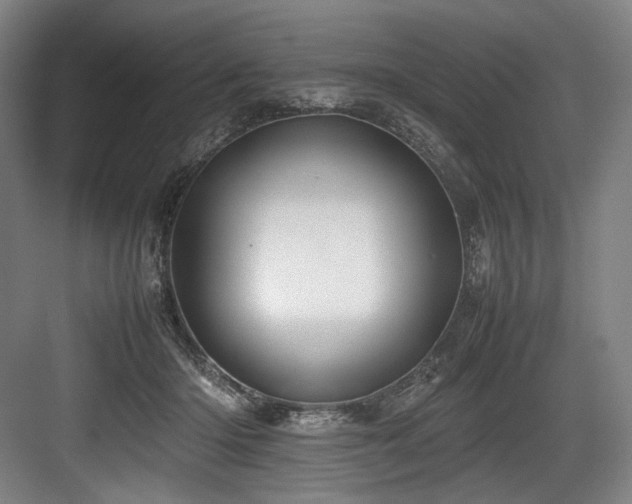 X0000083660414200702121221