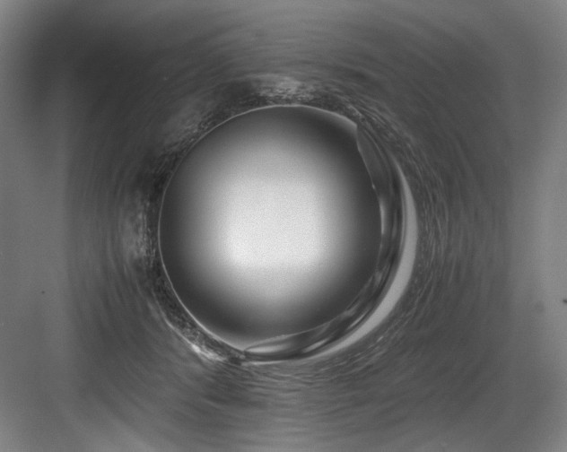 X0000083660416200702121221