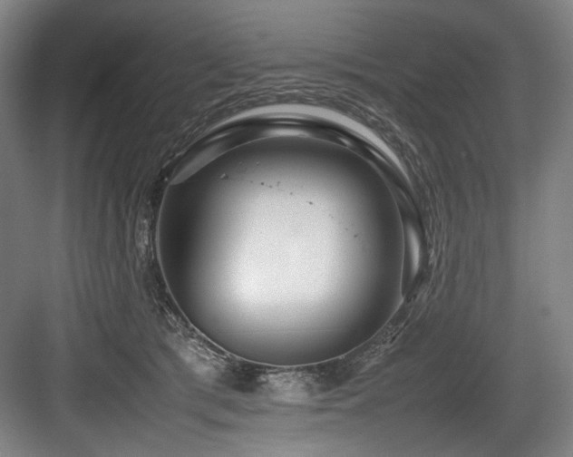 X0000083660417200702121221