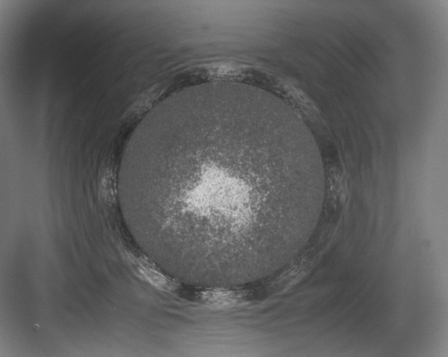 X0000083660419200702121221