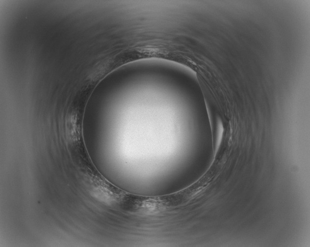 X0000083660420200702121221