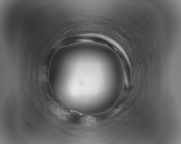 X0000083660421200702121221