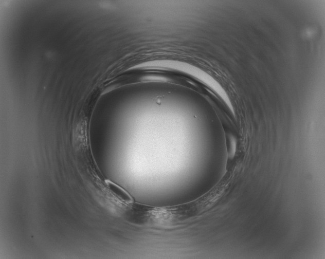 X0000083660425200702121221