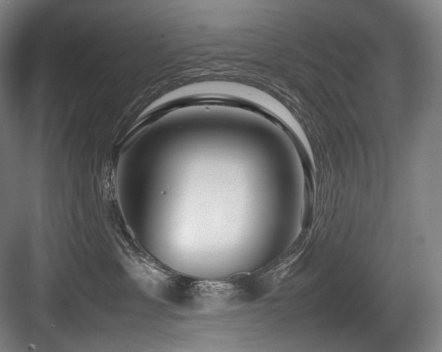 X0000083660429200702121221
