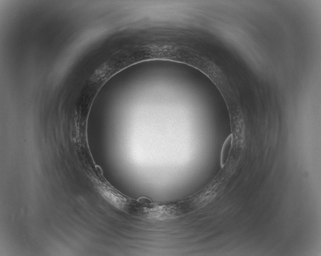 X0000083660430200702121221